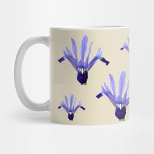 Iris &#39;Fabiola&#39; Reticulata Mug